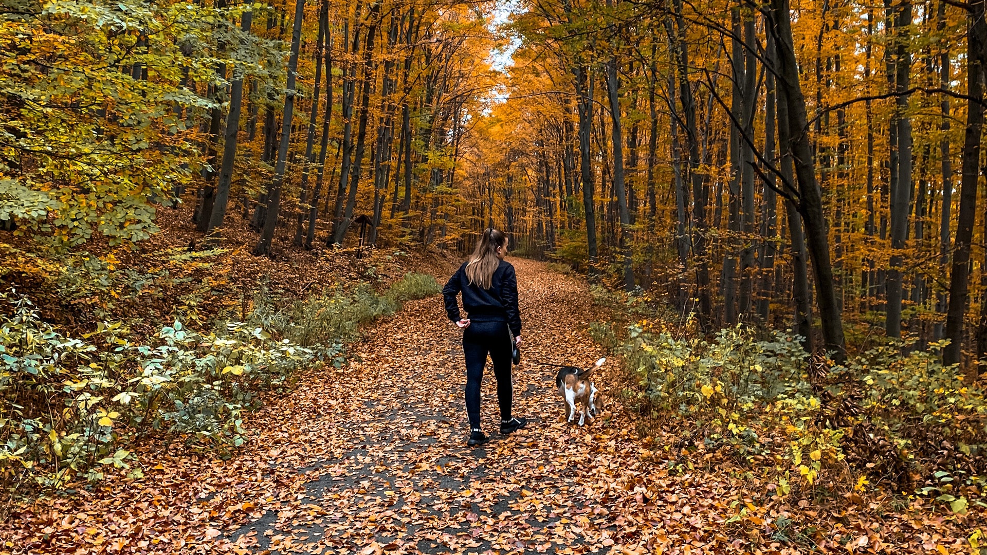 Featured image for “Fall Into Heart Health: How to be cardio-conscious this autumn”