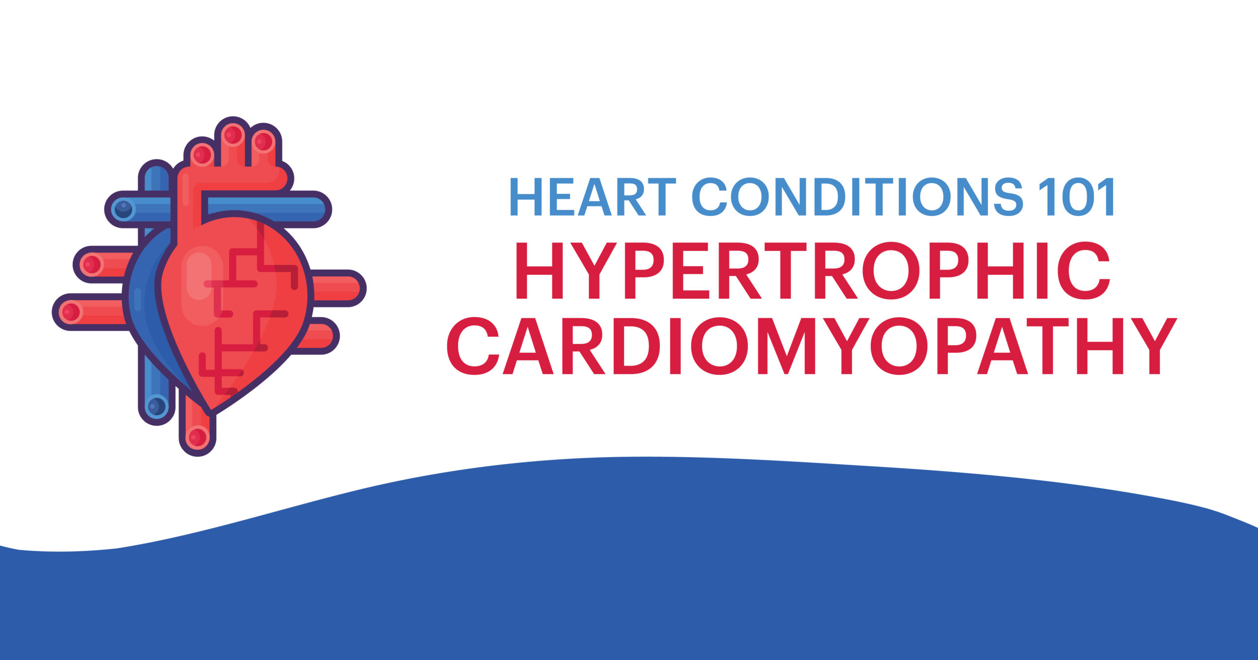 Heart Conditions 101: Hypertrophic Cardiomyopathy