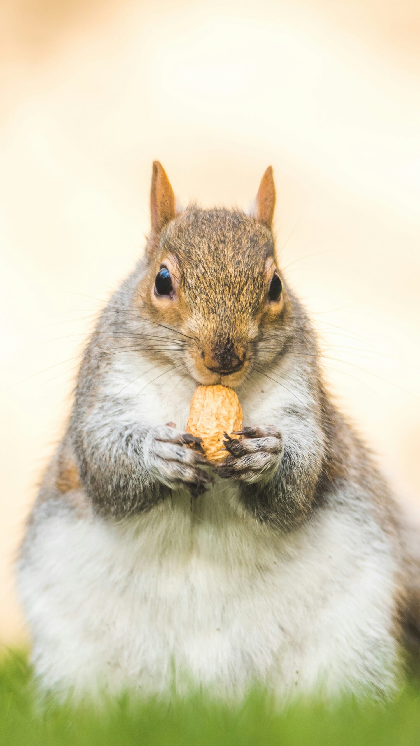 Featured image for “Are You An Emotional Eater?”